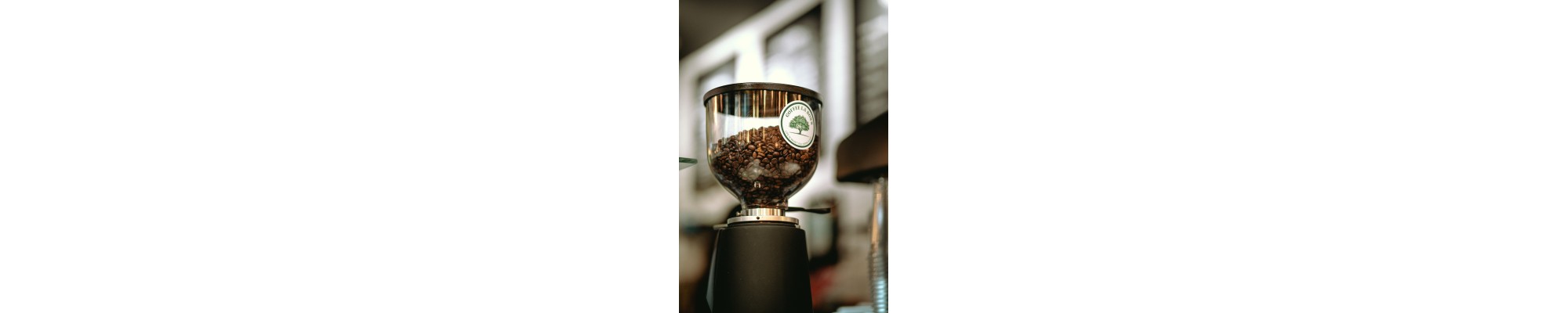 Cafetières filtres